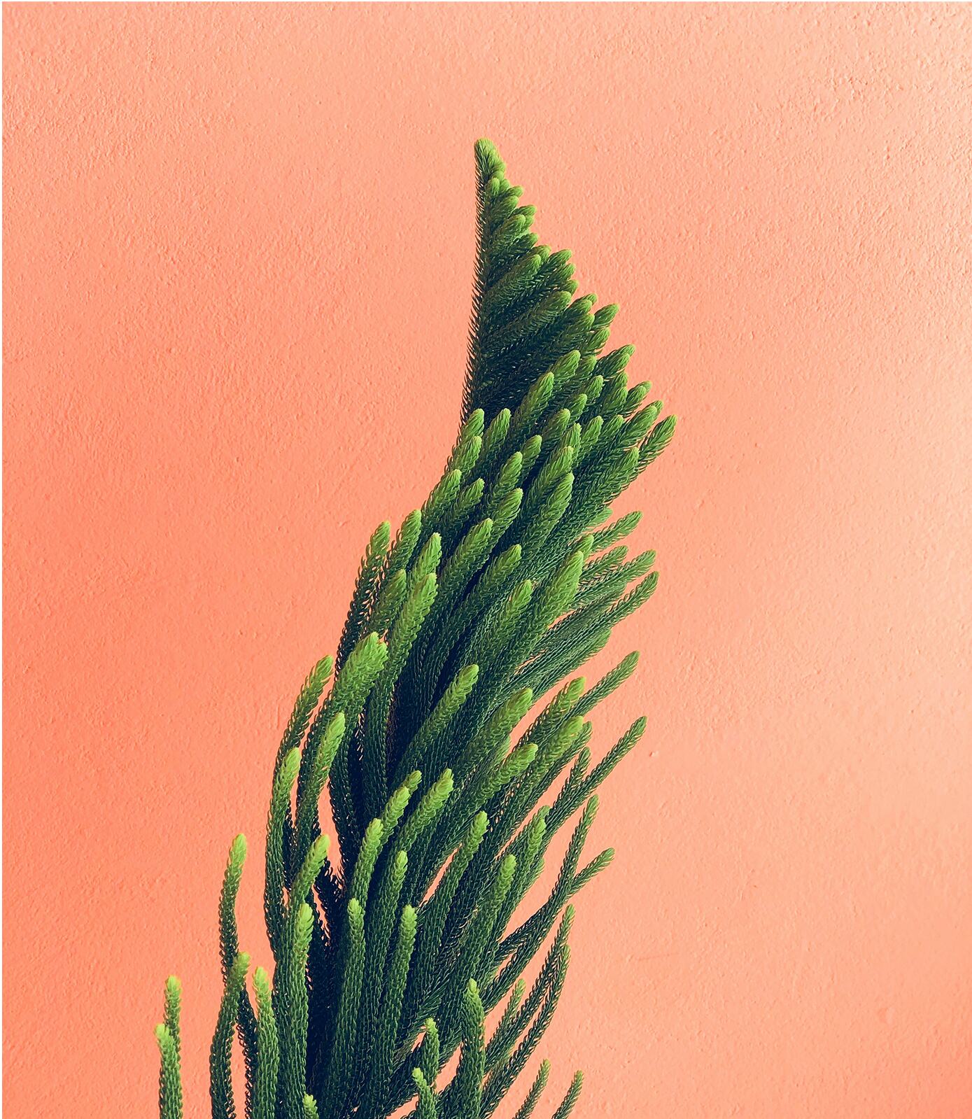 Sustainable by Design